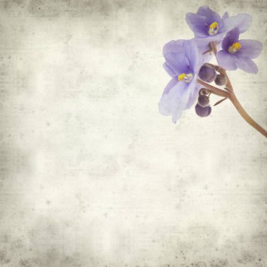 Eski Kağıt arka plan mavi African violet çiçekler ile dokulu