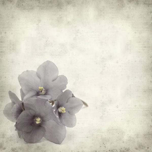 Eski Kağıt arka plan mavi African violet çiçekler ile dokulu