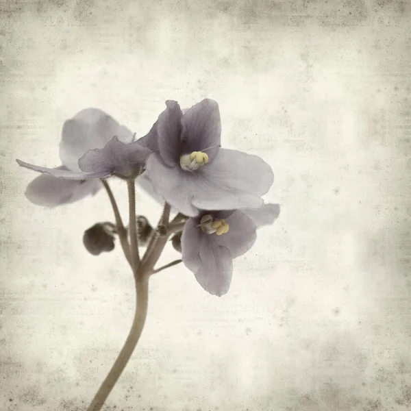 Eski Kağıt arka plan mavi African violet çiçekler ile dokulu