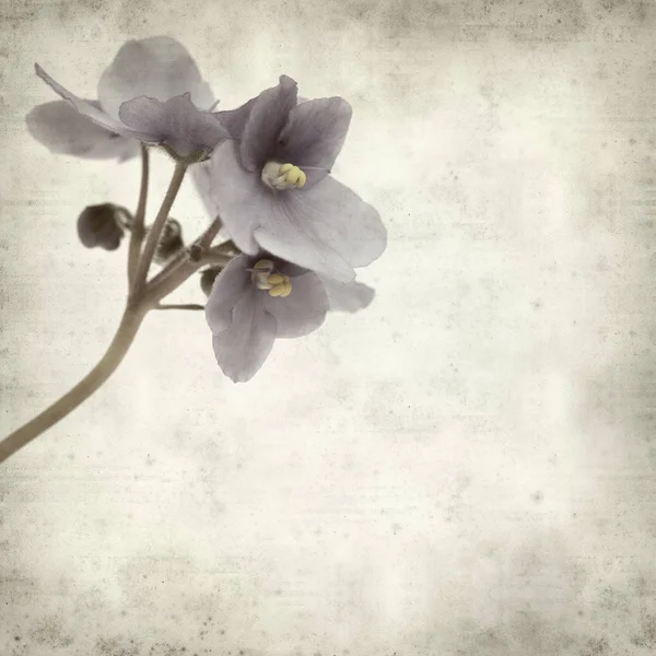 Eski Kağıt arka plan mavi African violet çiçekler ile dokulu