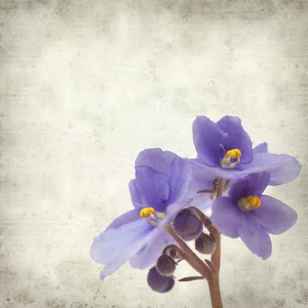 Eski Kağıt arka plan mavi African violet çiçekler ile dokulu