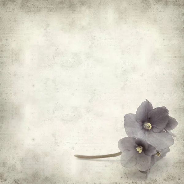 Eski Kağıt arka plan mavi African violet çiçekler ile dokulu