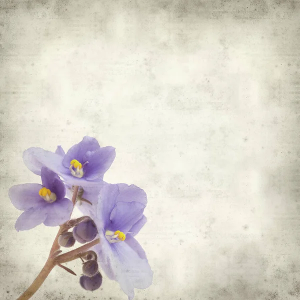 Fondo Papel Viejo Texturizado Con Flores Violetas Africanas Azules — Foto de Stock