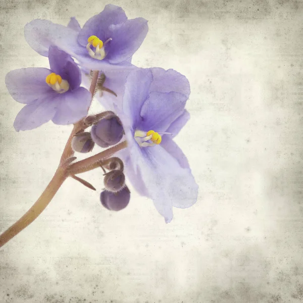 Eski Kağıt arka plan mavi African violet çiçekler ile dokulu