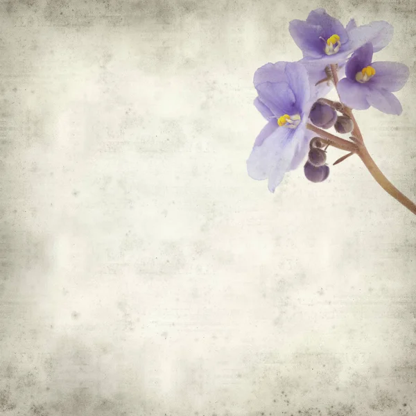 Eski Kağıt arka plan mavi African violet çiçekler ile dokulu