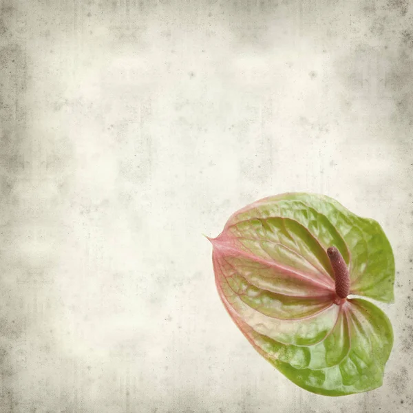 Fundo Papel Velho Texturizado Com Flores Exóticas Verdes Rosa Anthurium — Fotografia de Stock