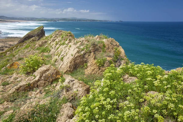 Cantabria Costa Quebrada Light Color Rock Playa Madero Beach Rock — Stock Photo, Image