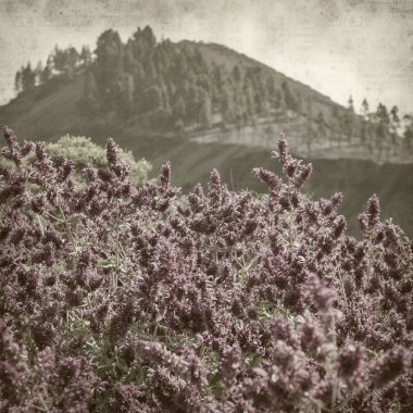 Gran Canaria ile dokulu eski Kağıt arka plan manzara, Galdar Belediyesi, siyah volkanik kül Montanon Negro, siyah dağına