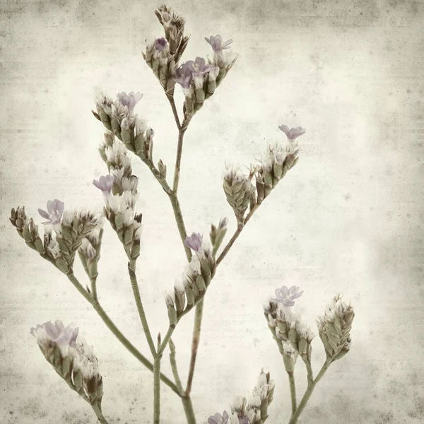 Textured Old Paper Background Small Twigs Limonium Binervosum Rock Sea — Stock Photo, Image