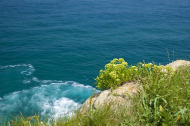 Cantabria, Santander ve Maruca, arasında etrafında kıyı peyzaj rock samphire büyüyen