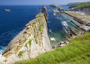 Cantabria, Costa Quebrada boyunca kıyı manzara, kırık kenarı, Flysch muhteşem paralel sırtları kaya oluşumu Playa de la Arnia çevresinde yazın