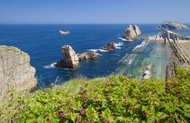 Cantabria, Costa Quebrada boyunca kıyı manzara, kırık kenarı, Flysch muhteşem paralel sırtları kaya oluşumu Playa de la Arnia çevresinde yazın