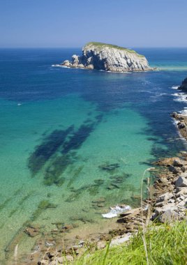 Cantabria, Costa Quebrada boyunca kıyı manzara, kırık kenarı, Flysch muhteşem paralel sırtları kaya oluşumu Playa de la Arnia çevresinde yazın