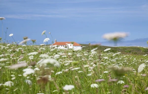 Cantabria Landschap Met Virgen Del Mar Hermitage Gezien Een Veld — Stockfoto