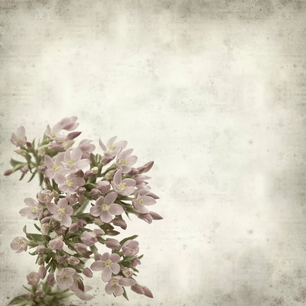 Texturierte Alte Papier Hintergrund Mit Rosa Blumen — Stockfoto