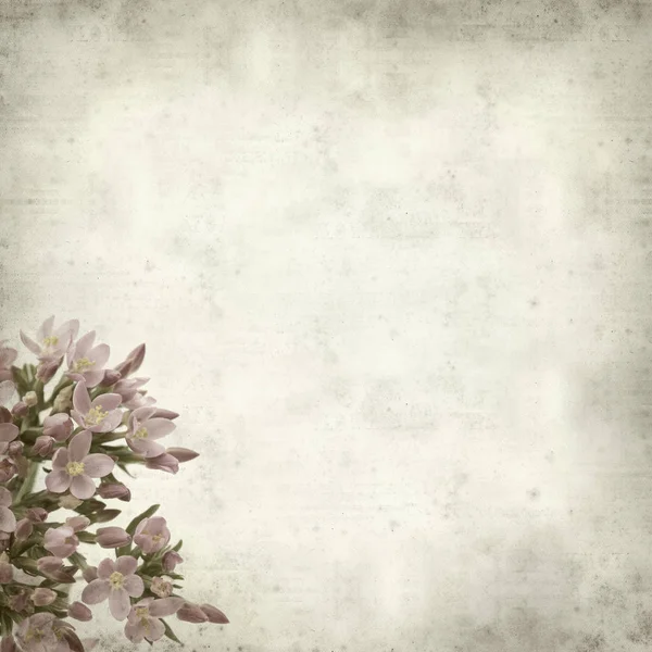 Textured Old Paper Background Pink Flowers — Stock Photo, Image