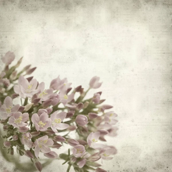 Textured Old Paper Background Pink Flowers — Stock Photo, Image