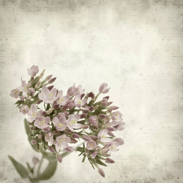ピンクの花と古い紙背景をテクスチャ — ストック写真