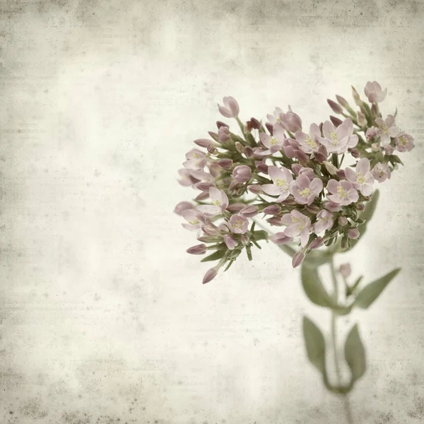 ピンクの花と古い紙背景をテクスチャ — ストック写真
