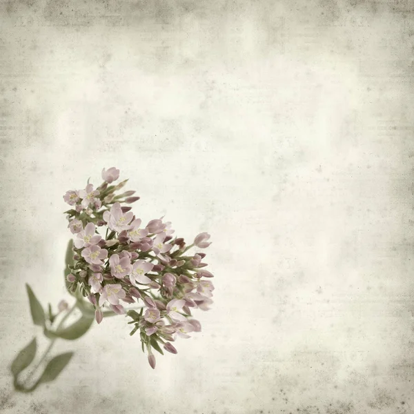 Textured Old Paper Background Pink Flowers — Stock Photo, Image