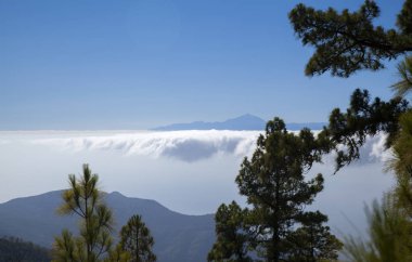 Gran Canaria, Doğa Parkı Tamadaba, bulutlar, katman üzerinde yüzen Teide Tenerife ışığında akşam yerel olarak bulutlar deniz denilen