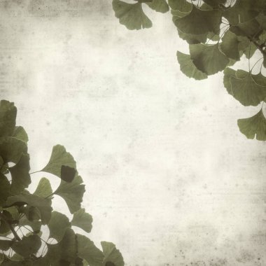 Ginkgo biloba dallar yeşil yaprakları ile dokulu eski Kağıt arka plan