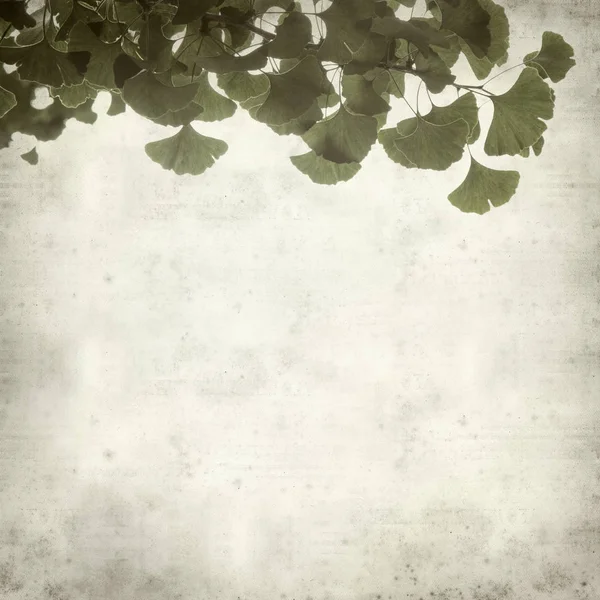 緑の葉とイチョウの Biloba 枝とテクスチャの古い用紙の背景 — ストック写真