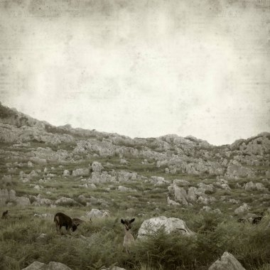 Eski Kağıt arka plan manzara Cantabria, İspanya ile dokulu 