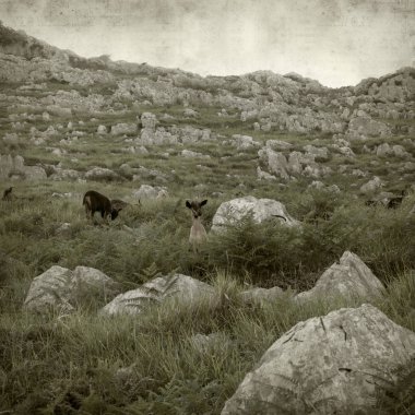 Eski Kağıt arka plan manzara Cantabria, İspanya ile dokulu 