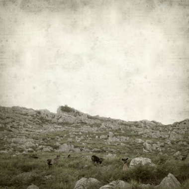 Eski Kağıt arka plan manzara Cantabria, İspanya ile dokulu 