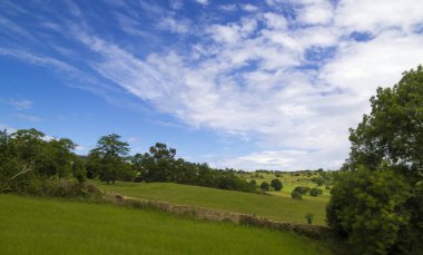 Cantabria, Reocin Belediyesi, yeşil kırsal 