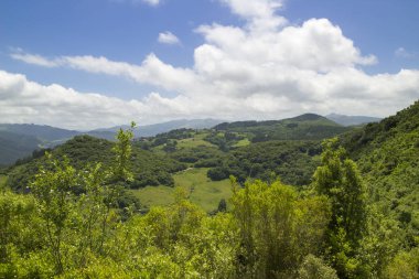 Cantabria, Liendo Belediyesi, yeşil tepelerin ve alanlar