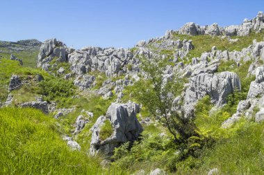 Monte Candina, çevre yolu hiking Cantabria, Liendo Belediyesi,