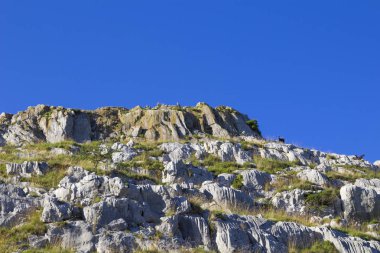 Cantabria, Liendo Belediyesi, Monte Candina Griffon akbaba koloni