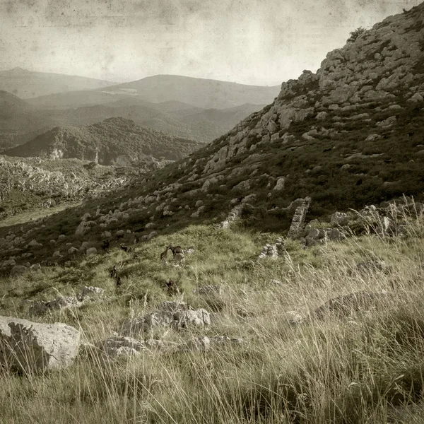 スペイン北部 カンタブリアの風景と古い紙背景をテクスチャ — ストック写真