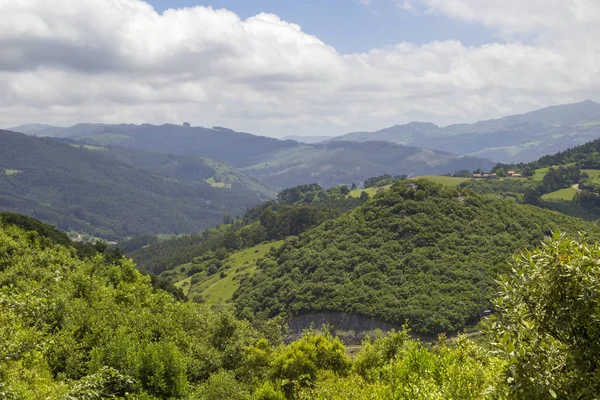 Cantabria Comune Liendo Verdi Colline Campi — Foto Stock