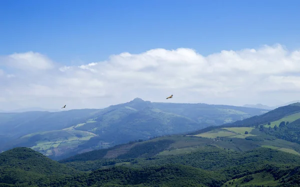 Cantabria Comune Liendo Percorso Escursionistico Monte Candina Due Avvoltoi Grifoni — Foto Stock