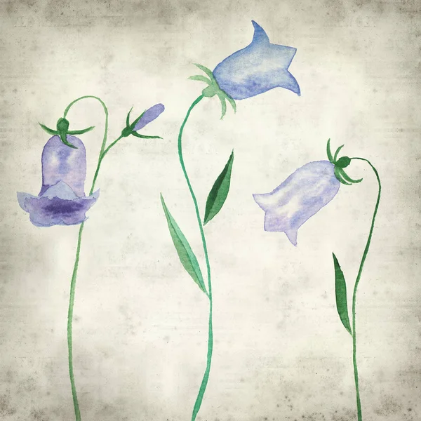 Achtergrond Van Het Oude Papier Met Aquarel Bellflowers Ribbels Noppen — Stockfoto