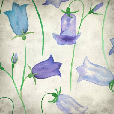 sulu boya bellflowers ile eski Kağıt arka plan dokulu