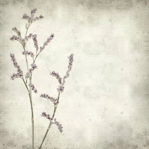 Textured Old Paper Background Small Pale Lilac Limonium Flowers — Stock Photo, Image