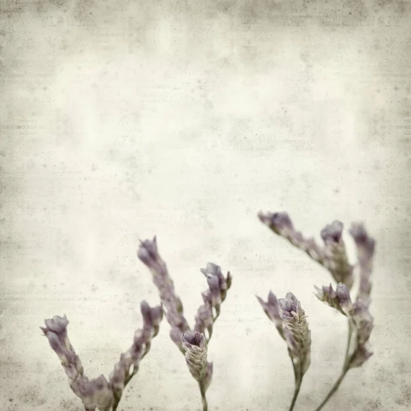 小さな淡いライラック スターチスの花と古い紙背景をテクスチャ — ストック写真