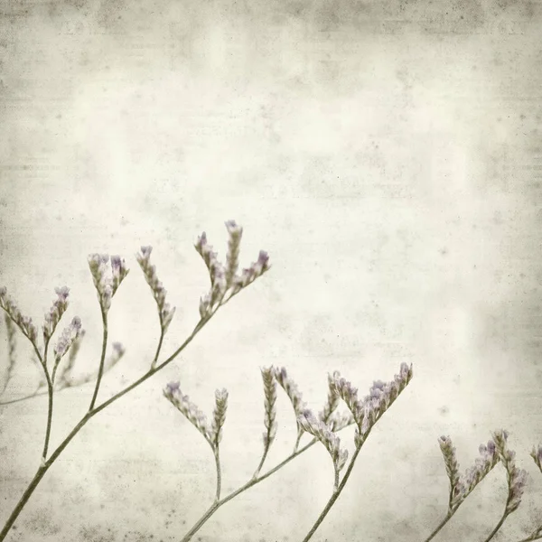 Texturou Staré Papírové Pozadí Malým Bledě Lila Limonium Květy — Stock fotografie