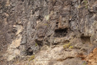 Gran Canaria, dik vadi Barranco de Valeron, olarak da bilinen Barranco de San Felipe, farklı katmanlar vocanic kaya duvarları ve 