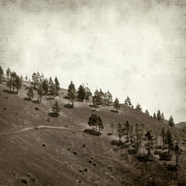 Gran Canaria manzara ile dokulu eski kağıt arka plan