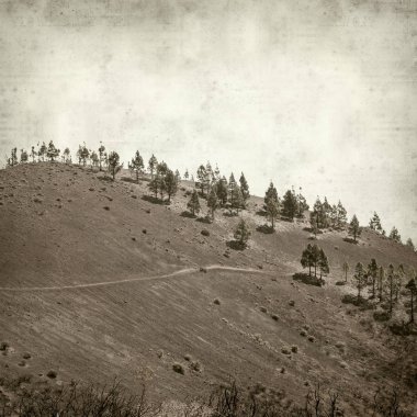 Gran Canaria manzara ile dokulu eski kağıt arka plan