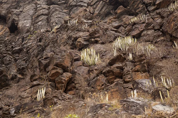 Gran Canaria Branta Väggar Dalen Barranco Valeron Även Känd Som — Stockfoto