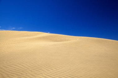 kum ve rüzgar desen dune yüzeyi, kuvvetli rüzgar, Maspalomas Dunes, Gran Canaria uçan kum