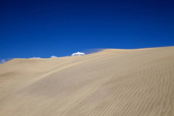 Písek Vítr Vzor Duně Povrch Písek Létání Silném Větru Duny — Stock fotografie
