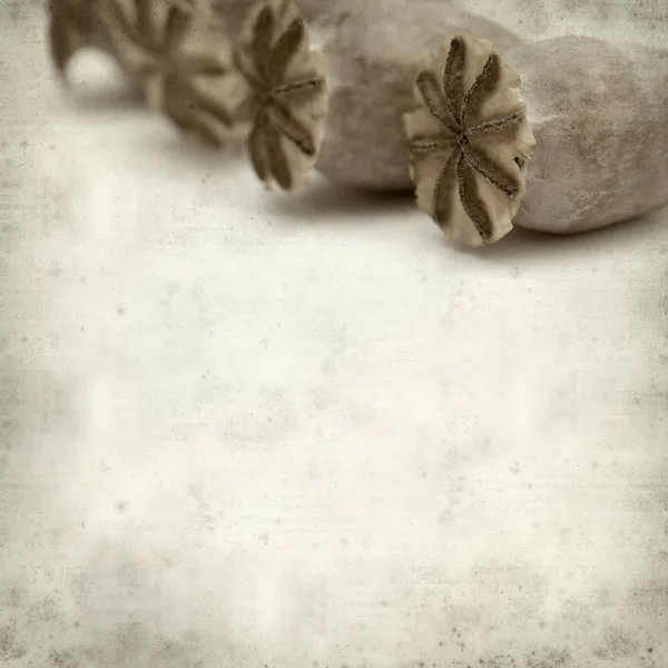 Texturou Staré Papírové Pozadí Suchých Semen Lusky Breadseed Máku — Stock fotografie