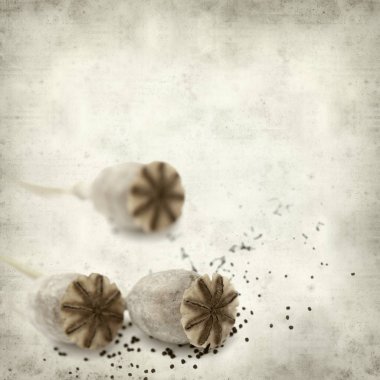 Eski Kağıt arka plan kuru tohum pods, breadseed haşhaş ile dokulu